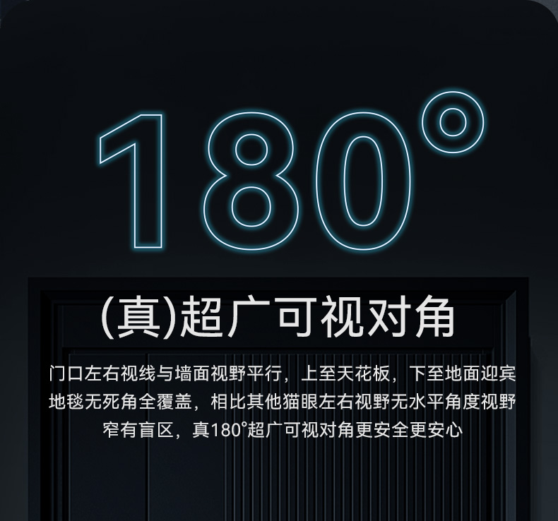 mini2Pro (7).jpg